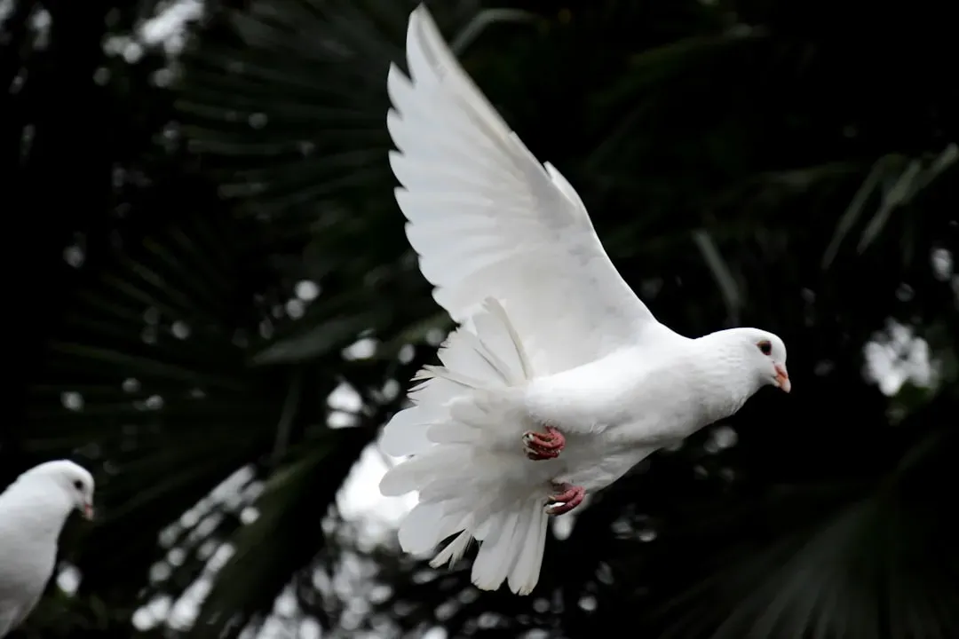Messengers from the Spirit World (Image Credits: Unsplash)