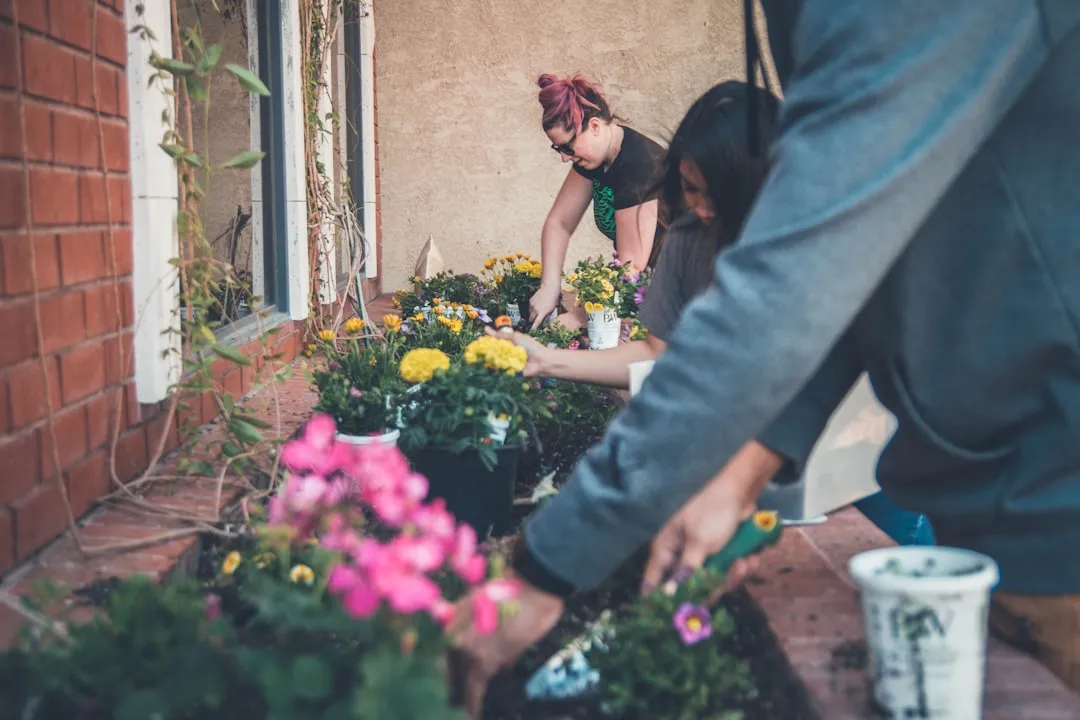 9. Connect With Neighbors: Tiny Yards, Big Impact When Linked (Image Credits: Unsplash)