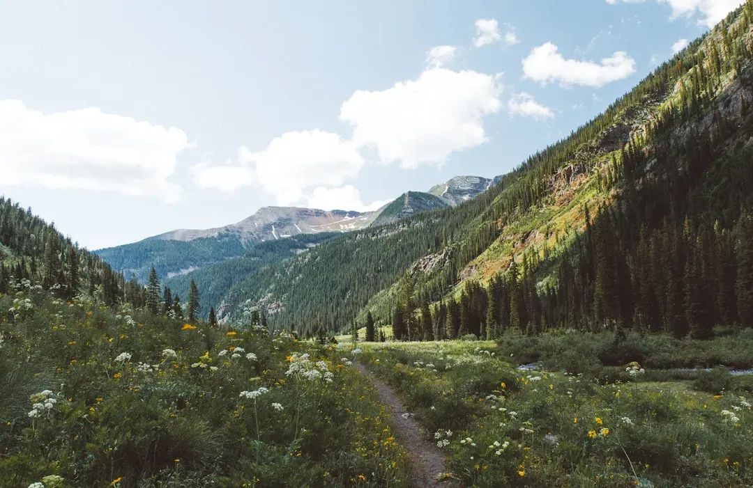 Western States and Washington's Colonies (Image Credits: Unsplash)