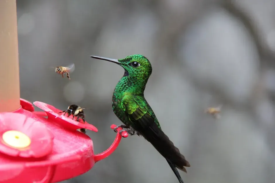 Conclusion: The Smallest Bird, an Outsized Lesson (Image Credits: Pexels)