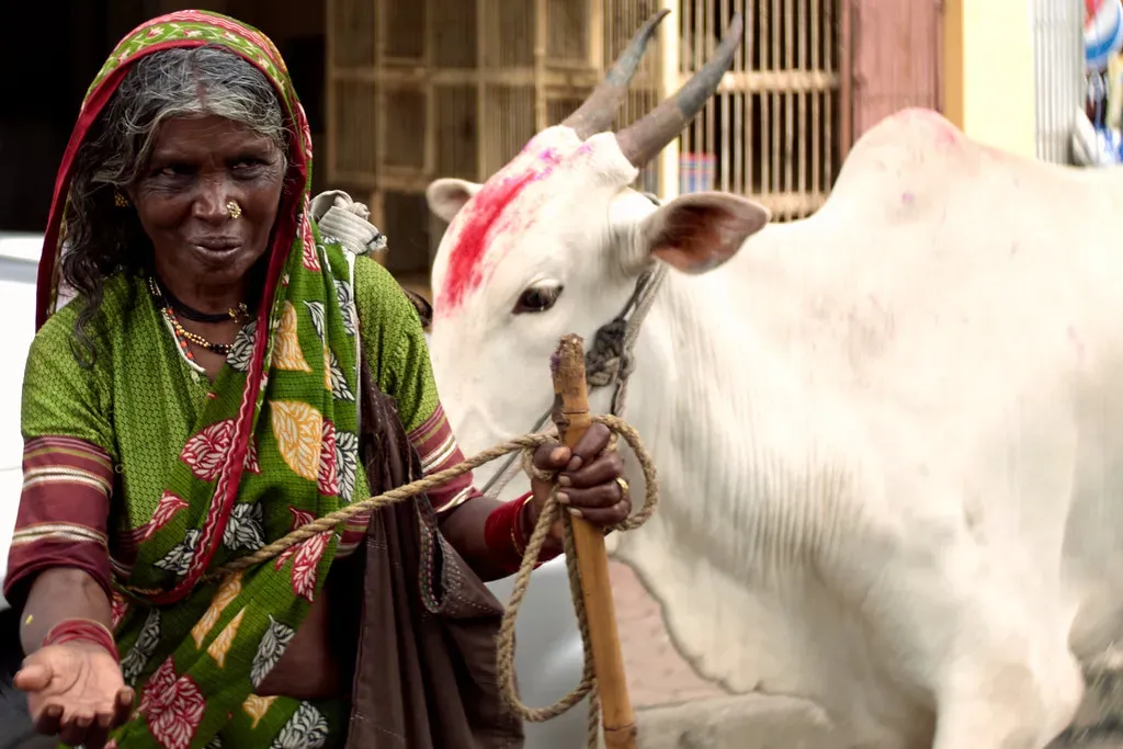 Hindu Traditions: The Sacred Lives of Elephants, Cows, and Serpents (Image Credits: Flickr)