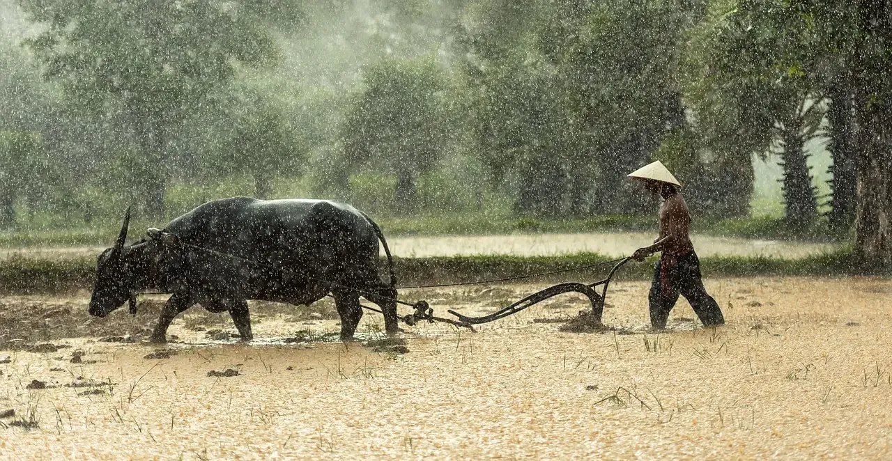 #4: The Farmland and Rural Dweller - Disciplined, Grounded, and Deeply Habitual (Image Credits: Pixabay)
