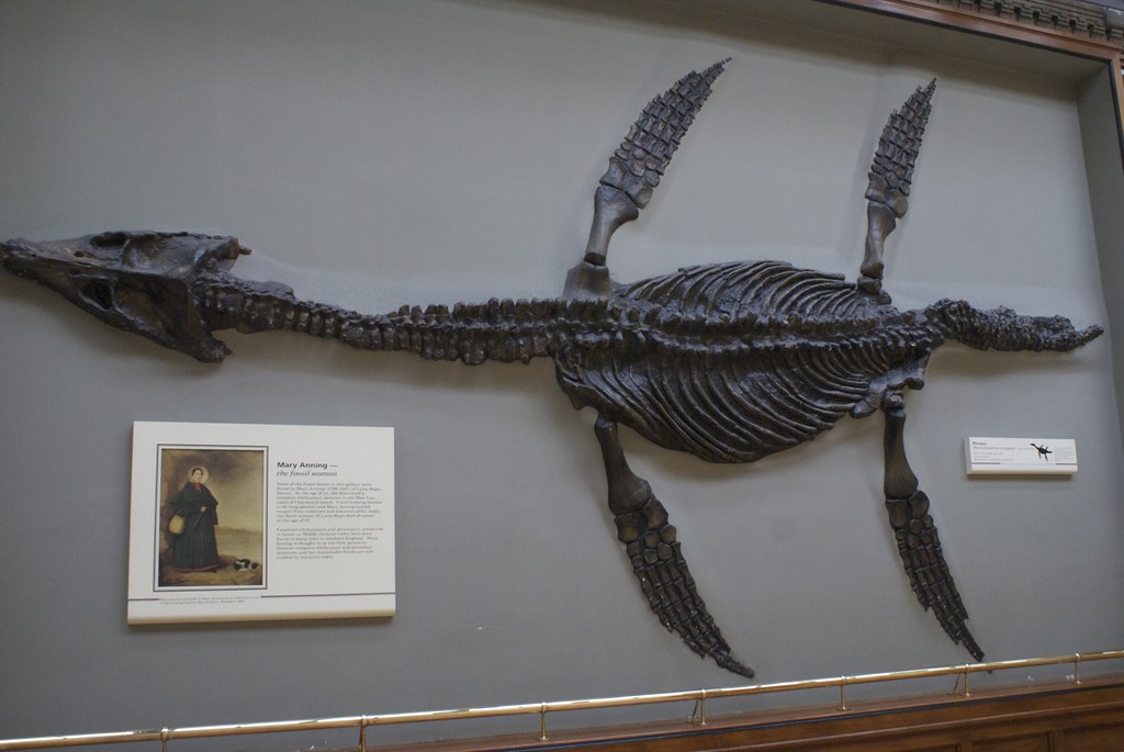 The Supernatural Sense That Made It an Unstoppable Hunter (Image Credits: Flickr)