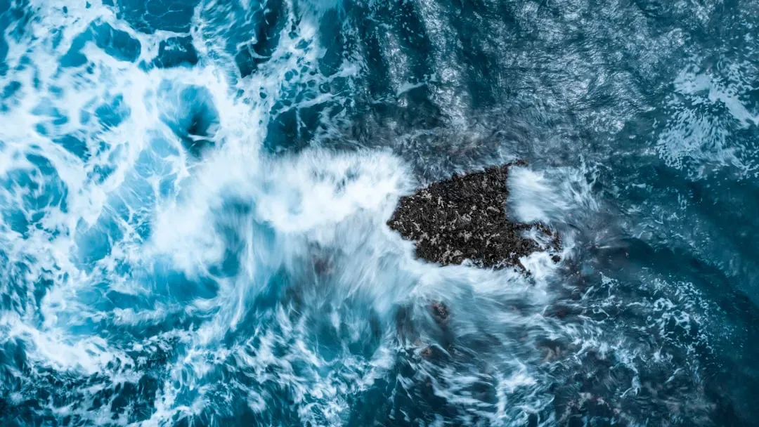 2. Acting as the Planet's Largest Carbon Sink (Image Credits: Unsplash)