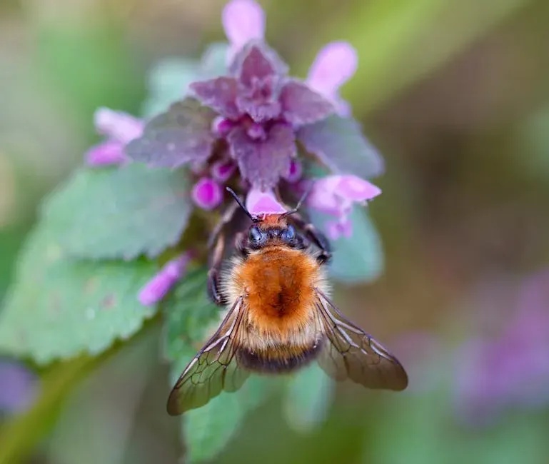 Lemon Balm: The Understated Bee Favorite (Image Credits: Pexels)