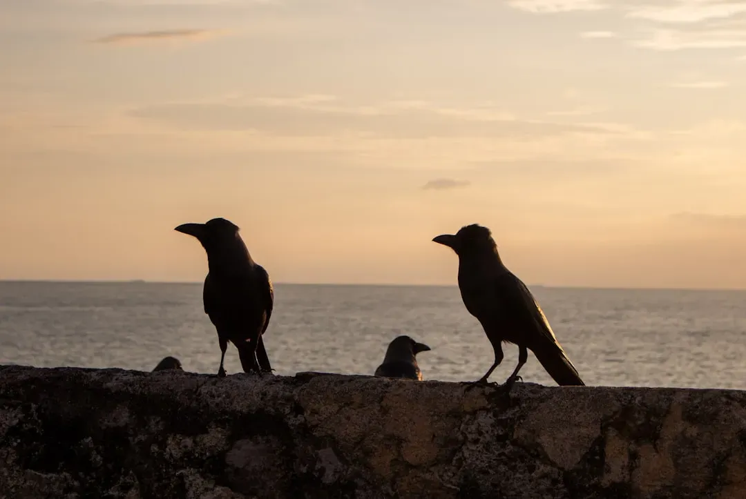 Implications for Your Local Ecosystem (Image Credits: Unsplash)