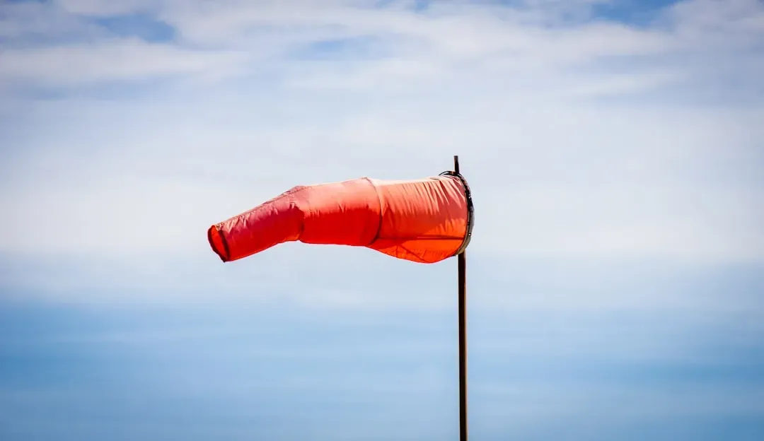 Weather Patterns That Carry or Hide Scents (Image Credits: Unsplash)