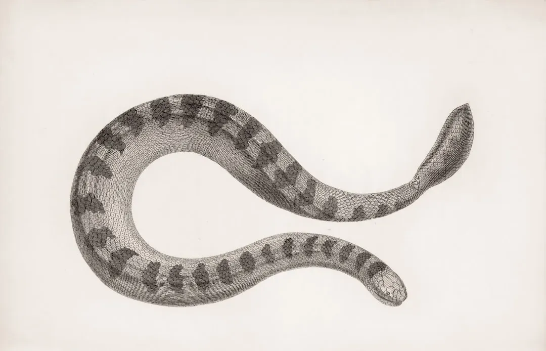Gemini: The Silver-Tongued Snake (Image Credits: Unsplash)