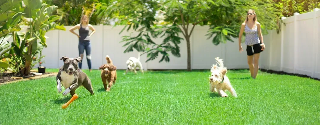 Treating Your Home and Yard (Image Credits: Unsplash)