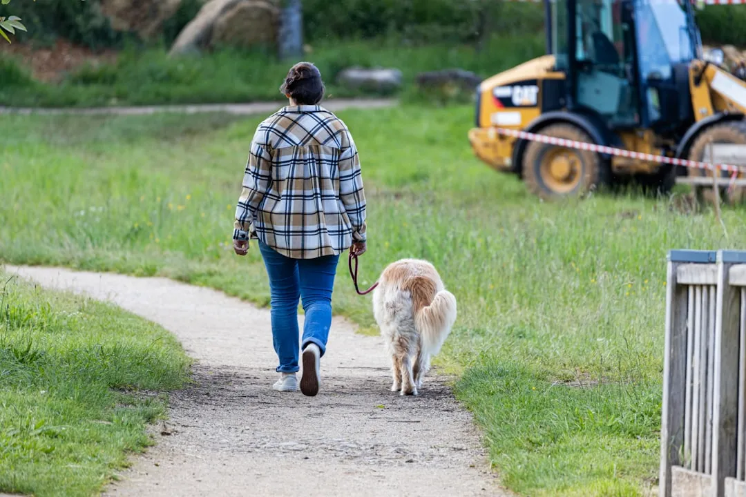 #3 - More Frequent, Shorter Walks (And Fewer Marathons) (Image Credits: Unsplash)