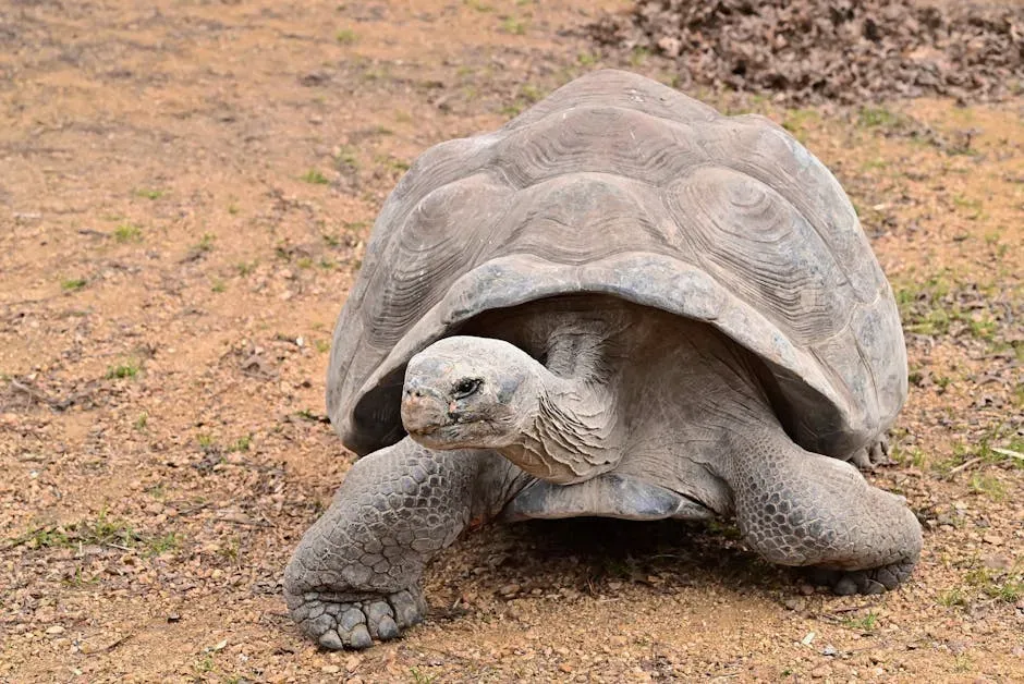 What These Animals Tell Us About Life Itself (Image Credits: Pexels)