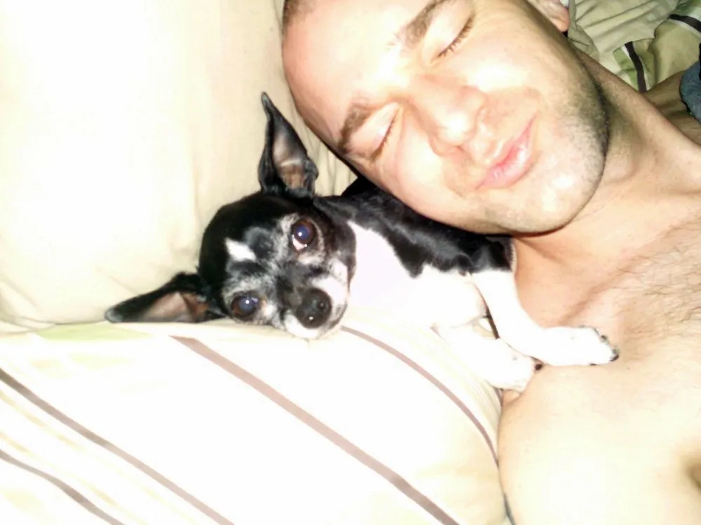 The Power of Scent in Canine Comfort (Little Man the Pillow
Uploaded by maybeMaybeMaybe, CC BY 2.0)