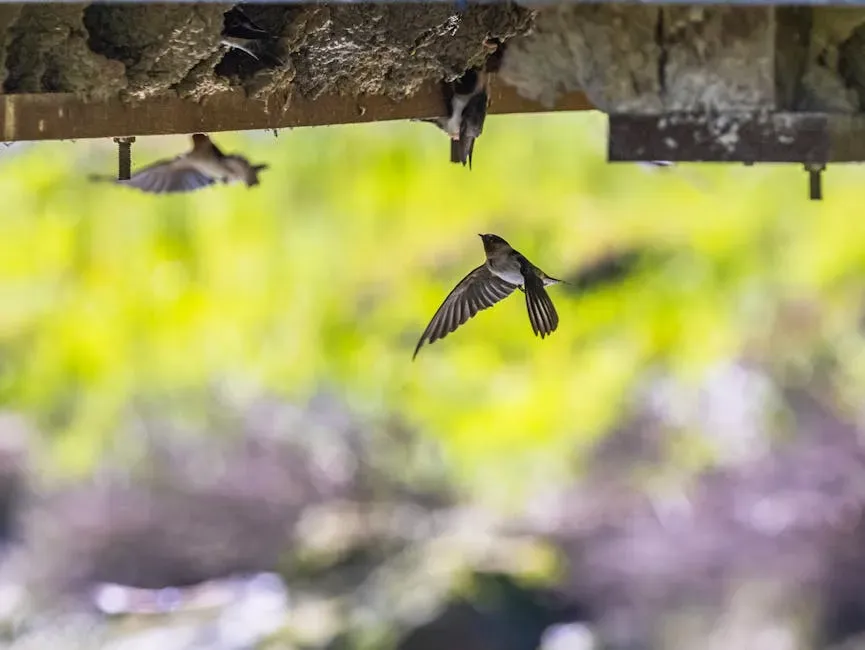 #7: Despite Their Extraordinary Lives, Swifts Are Now Under Serious Threat (Image Credits: Pexels)