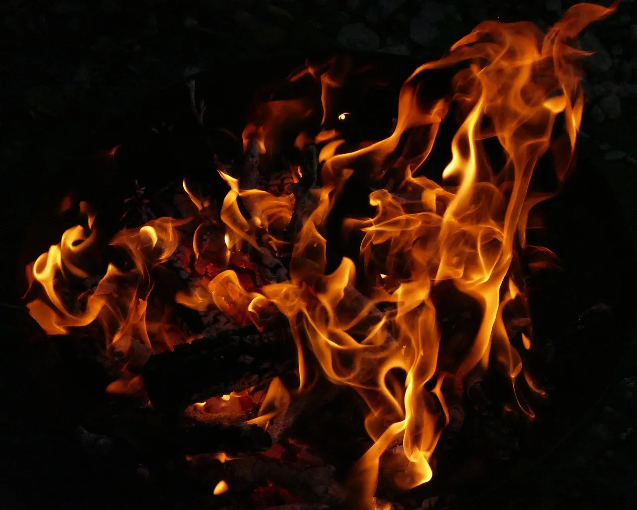 The Evolutionary Roots of Fire Fascination (Image Credits: Pixabay)