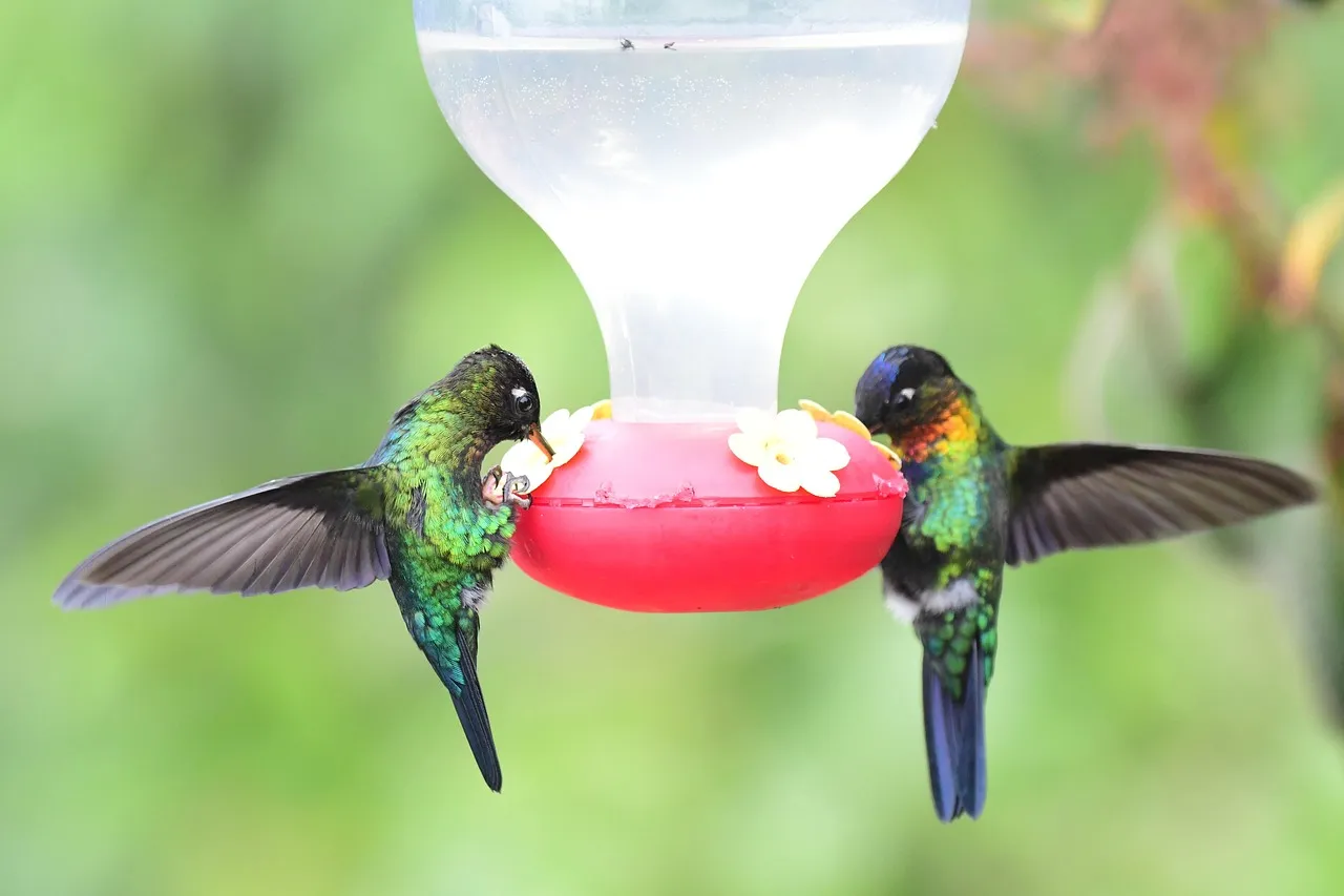 #1 - It Eats More Than Its Own Body Weight (Almost Every Day) (Image Credits: Pixabay)