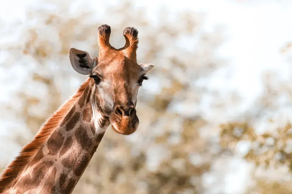 Introduction (Image Credits: Pexels)