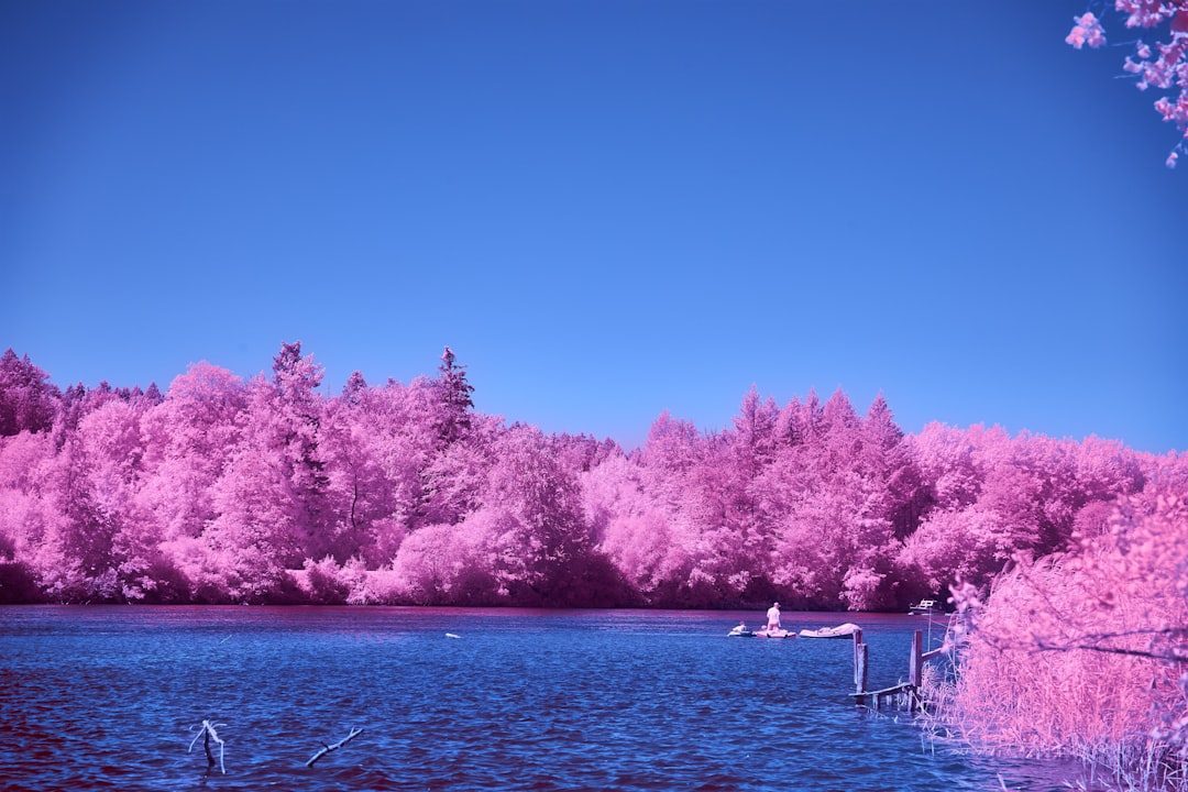 Lake Hillier: Australia's Pink Enigma (Image Credits: Unsplash)