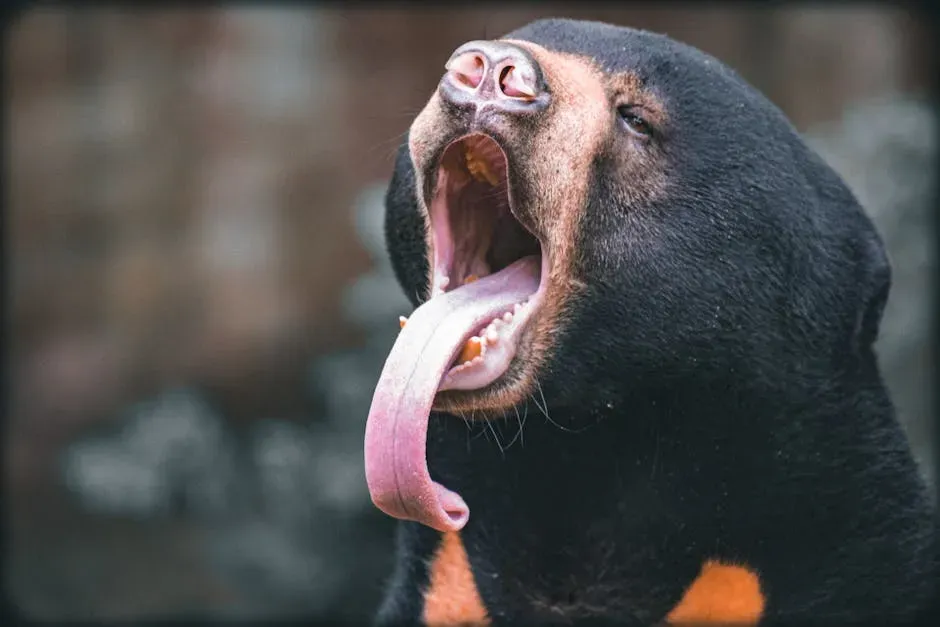 4. Their Tongue Is Extraordinarily Long (Image Credits: Pexels)