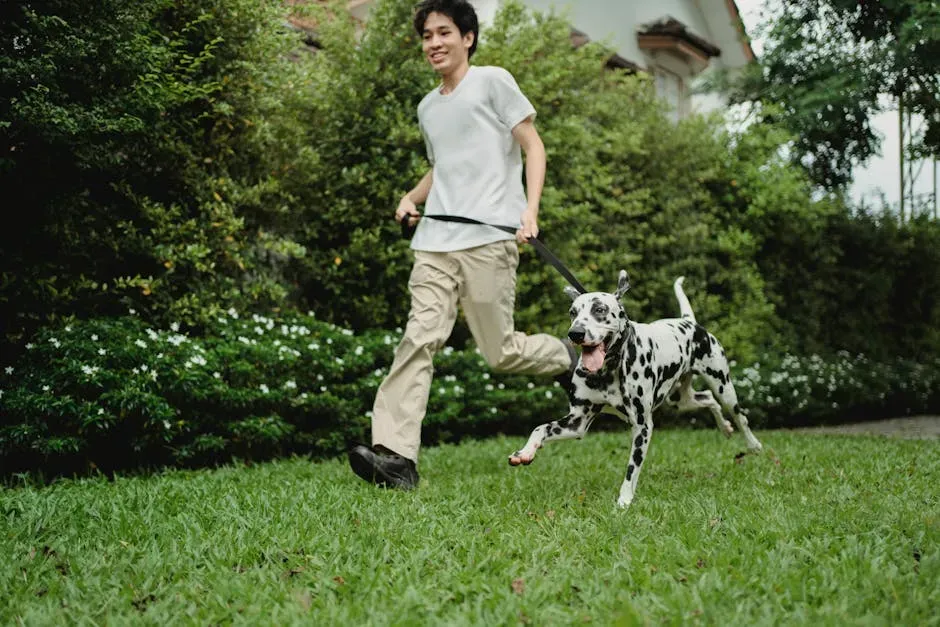 #6 Dalmatian (Image Credits: Pexels)