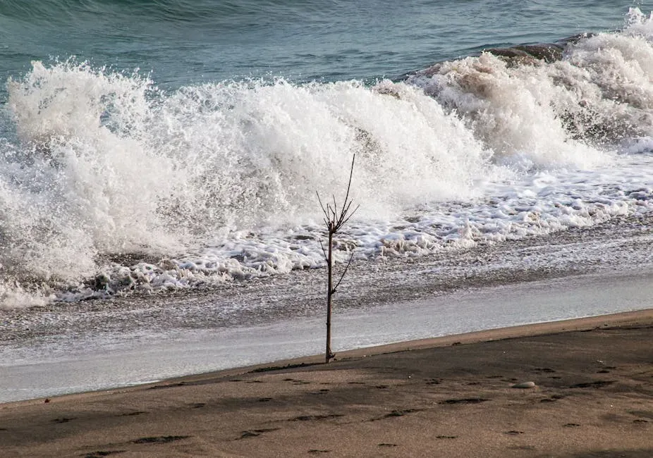 Conclusion: Nature's Reminder of Resilience (Image Credits: Pexels)