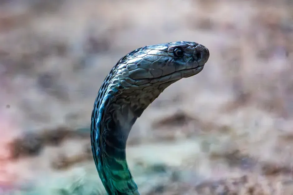 #8. Scorpio: The Black Mamba (Image Credits: Pexels)