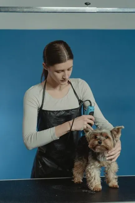 #8 &ndash; Basic Grooming Became Bonding, Not a Source of Stress (Image Credits: Pexels)