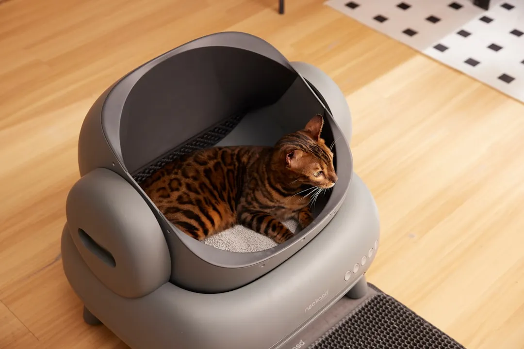 #12: The Litter Box Becomes a Struggle - or an Afterthought (Image Credits: Unsplash)
