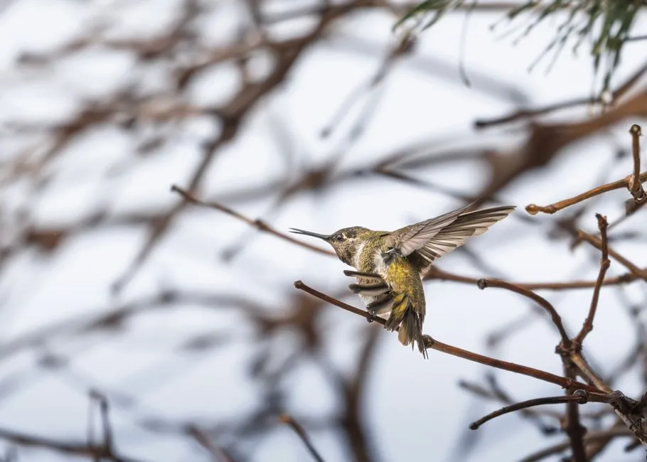 #15 - Migrants Sneaking in Long-Distance Fuel Stops (Image Credits: Pexels)