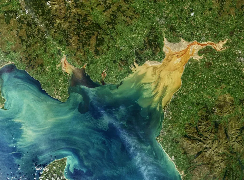 Satellites and Remote Sensing: Watching Entire Habitats From Space (Image Credits: Rawpixel)