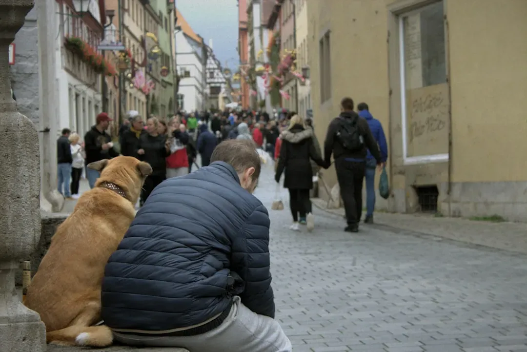Leaning Into You During Petting or Cuddling (Image Credits: Unsplash)