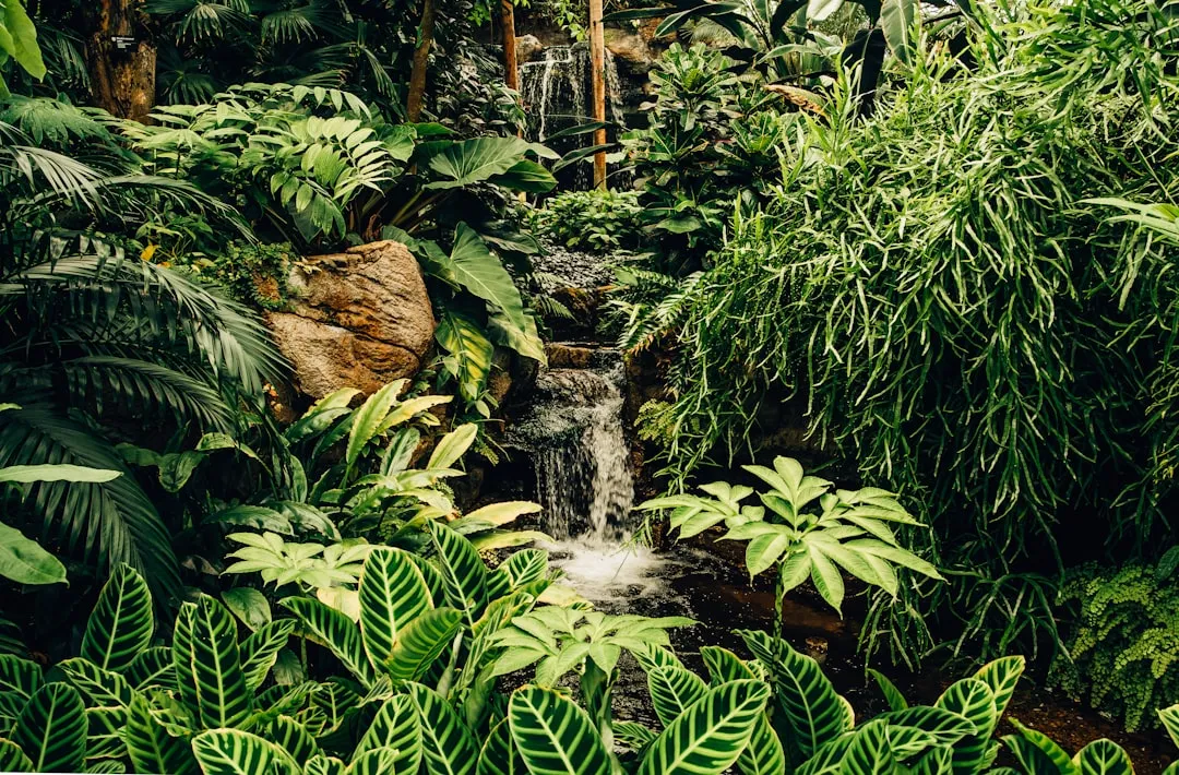 #5 - The Silence That Means a Forest Is Collapsing (Image Credits: Unsplash)