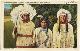 Cherokee Nation: The Enrollment Giant (Image Credits: Cherokee: Yale University Press)