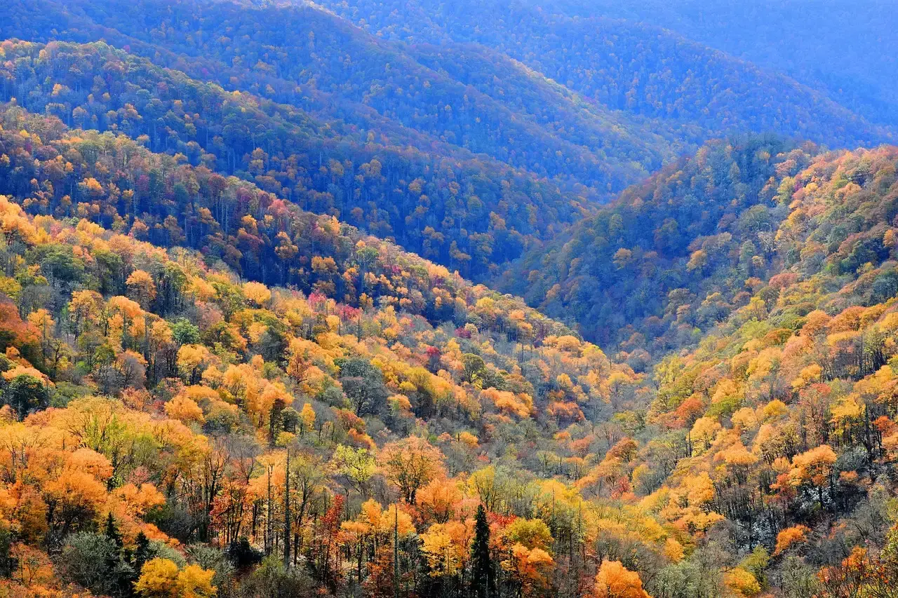 10. Tennessee (Image Credits: Pixabay)