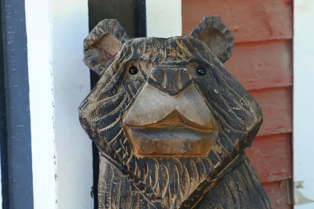 The Bear in Indigenous Cultures Across the World (Image Credits: Unsplash)