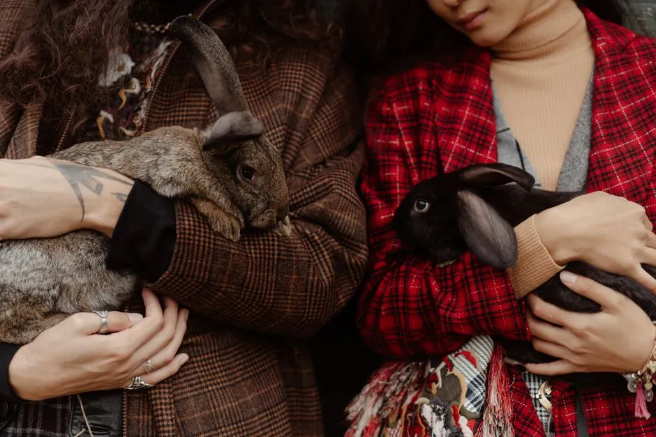 Taurus: Calm, Predictable, and Bunny-Approved (Image Credits: Pexels)