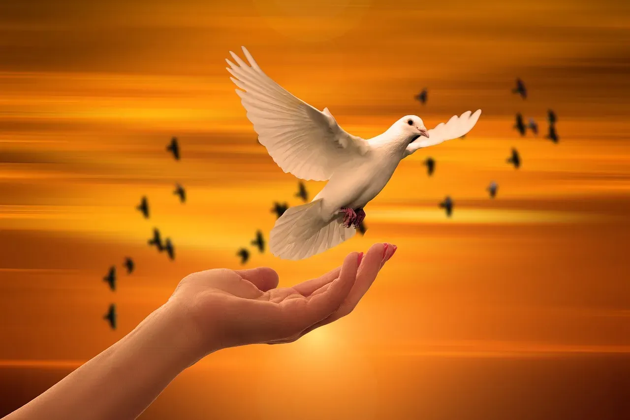 3. A Message from the Spiritual Realm (Image Credits: Pixabay)