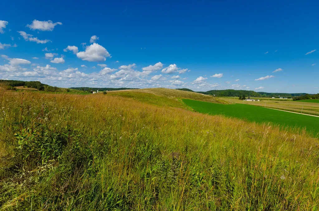 Grasslands and Prairies: Quiet Recoveries on the Open Range (wackybadger, Flickr, CC BY-SA 2.0)