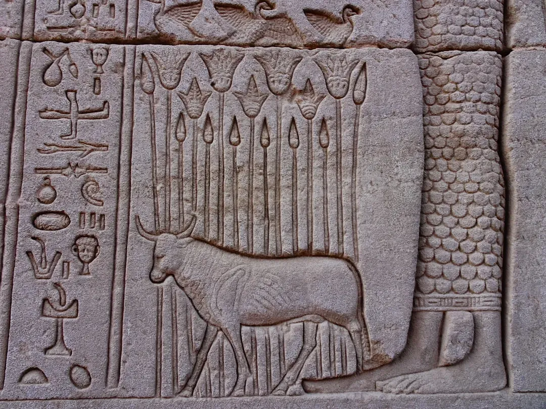 The Egyptian Pantheon: Where Gods Wore Fur, Feathers, and Scales (Image Credits: Unsplash)