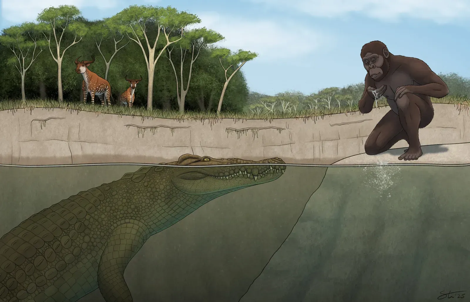 A Brand New Species With a Very Dramatic Name (Image Credits: Tyler Stone, University of Iowa.)