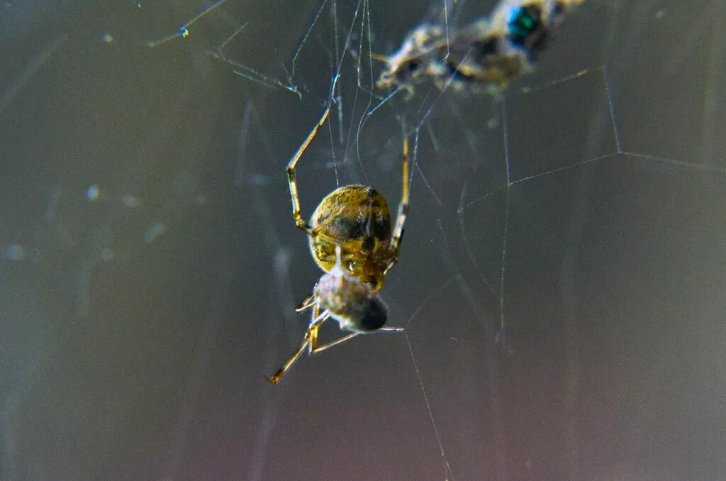 Conclusion: Taking Action Before It Gets Worse (Image Credits: Flickr)
