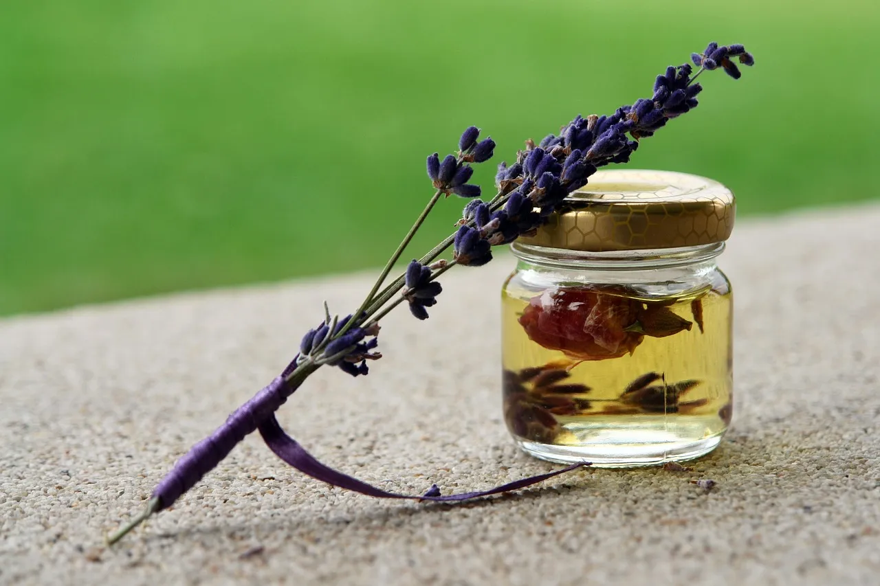 Lavender: Calming For You, Unwelcoming For Them (Image Credits: Pixabay)