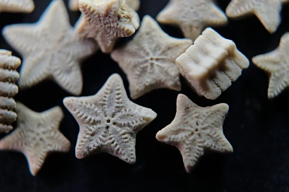 The Ancient Ocean Was Teeming with Life (Image Credits: Pexels)