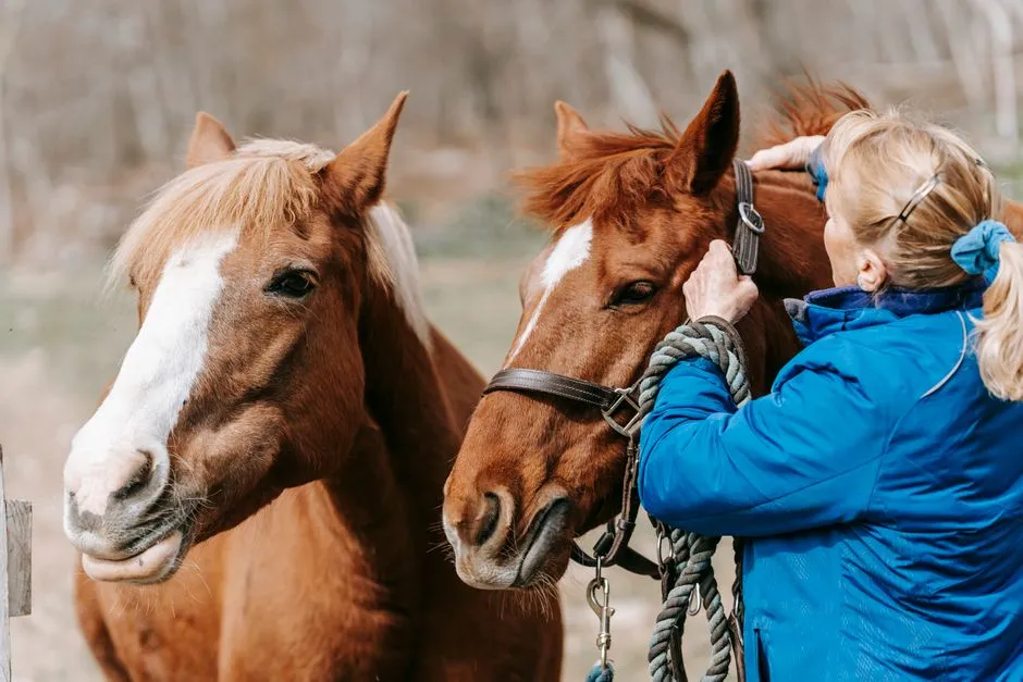 5. Easy, Social Herd Interactions (Happy) (Image Credits: Pexels)