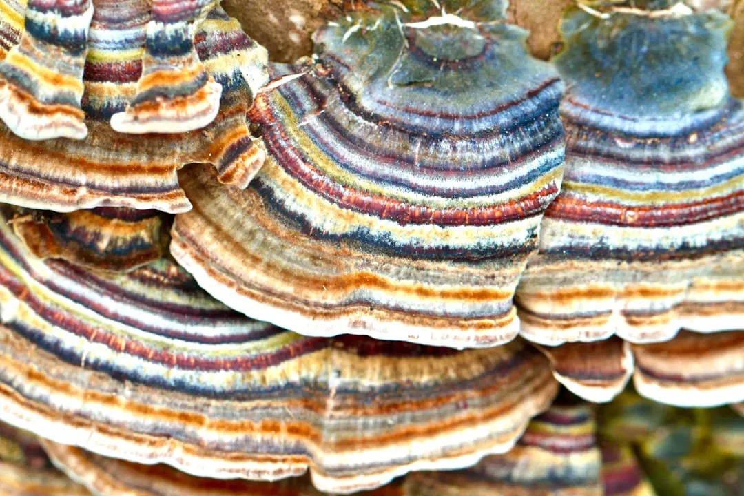 Microbial Communities Under Threat From a Warming World (Image Credits: Unsplash)