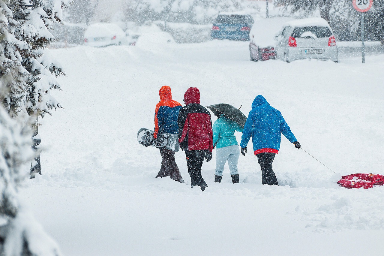 The Children's Blizzard of 1888: A Prairie Nightmare (Image Credits: Pixabay)