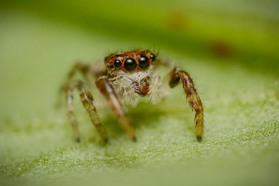 Planning versus instinct: what&rsquo;s really going on? (Image Credits: Pexels)