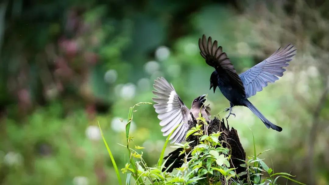 11. Avoid Pesticides and Keep Natural Insect Populations Thriving (Image Credits: Unsplash)