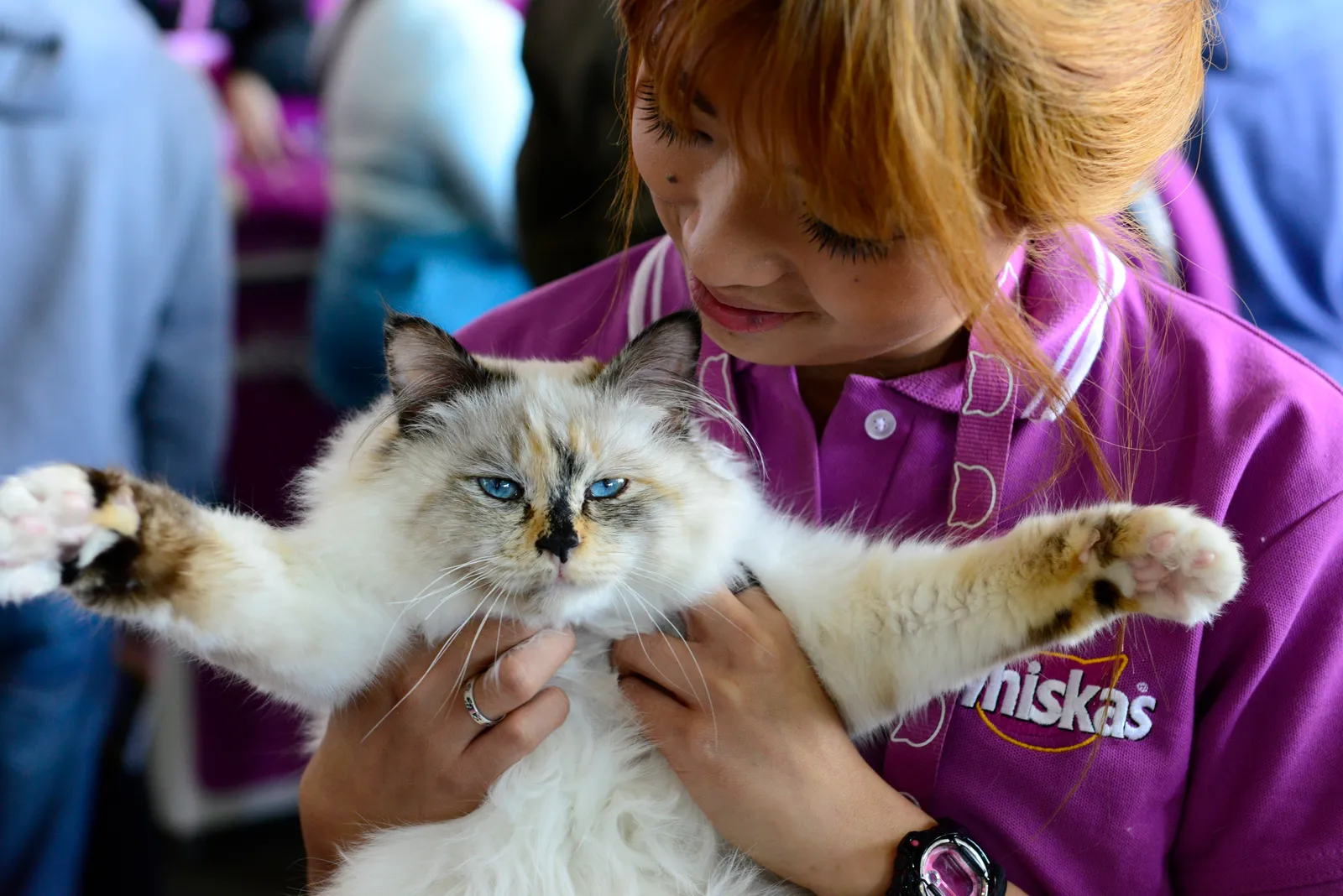 What Slow Blinks Reveal About How Cats See Us (2013 Royal Melbourne Show, CC BY 2.0)