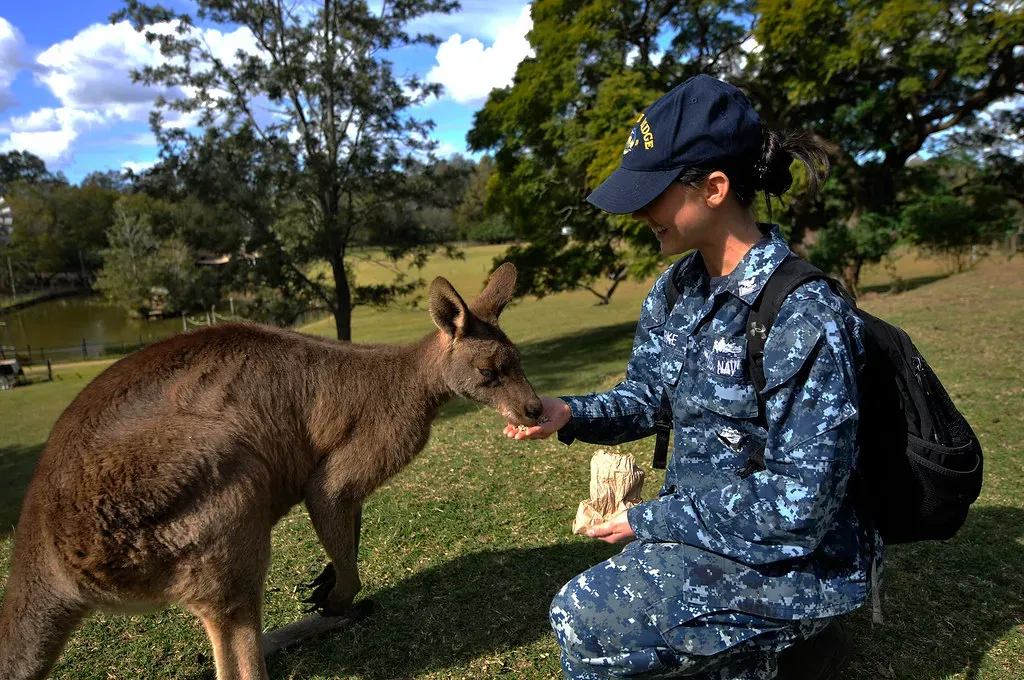 Conclusion: Rethinking Our Relationship with Wild Animals (Image Credits: Flickr)