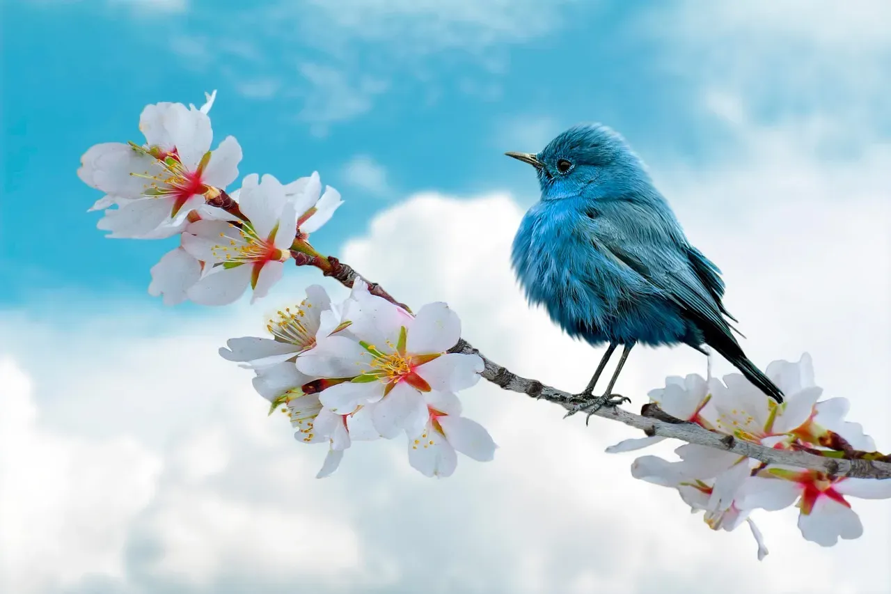 #8 - Plant Native Berry Shrubs, Not Just Flowers (Image Credits: Pixabay)